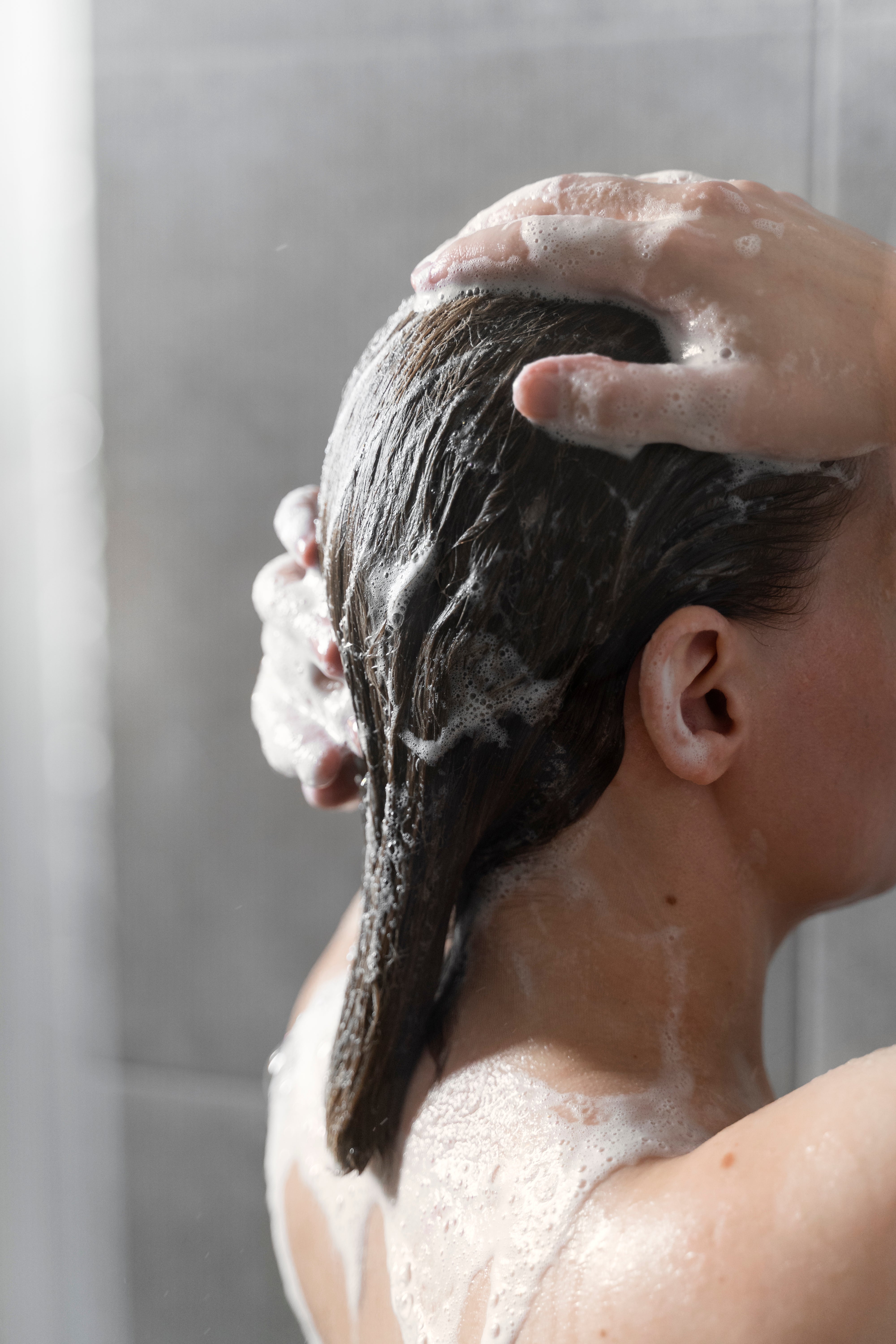 Linea capelli