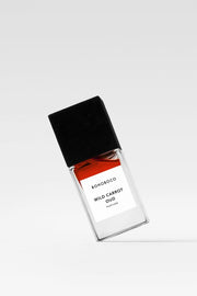 Wild carrot • oud