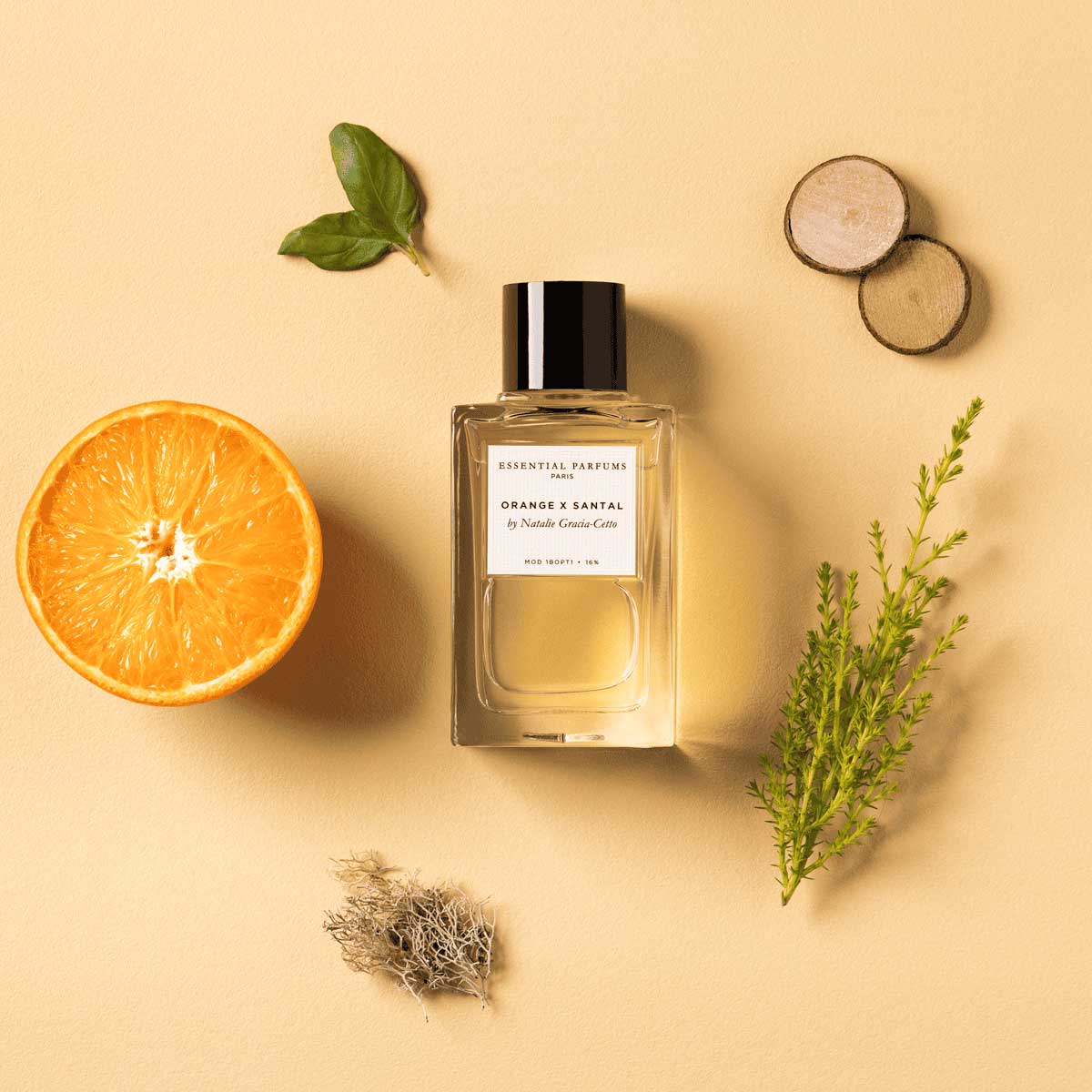 Orange X Santal by Natalie Gracia Cetto