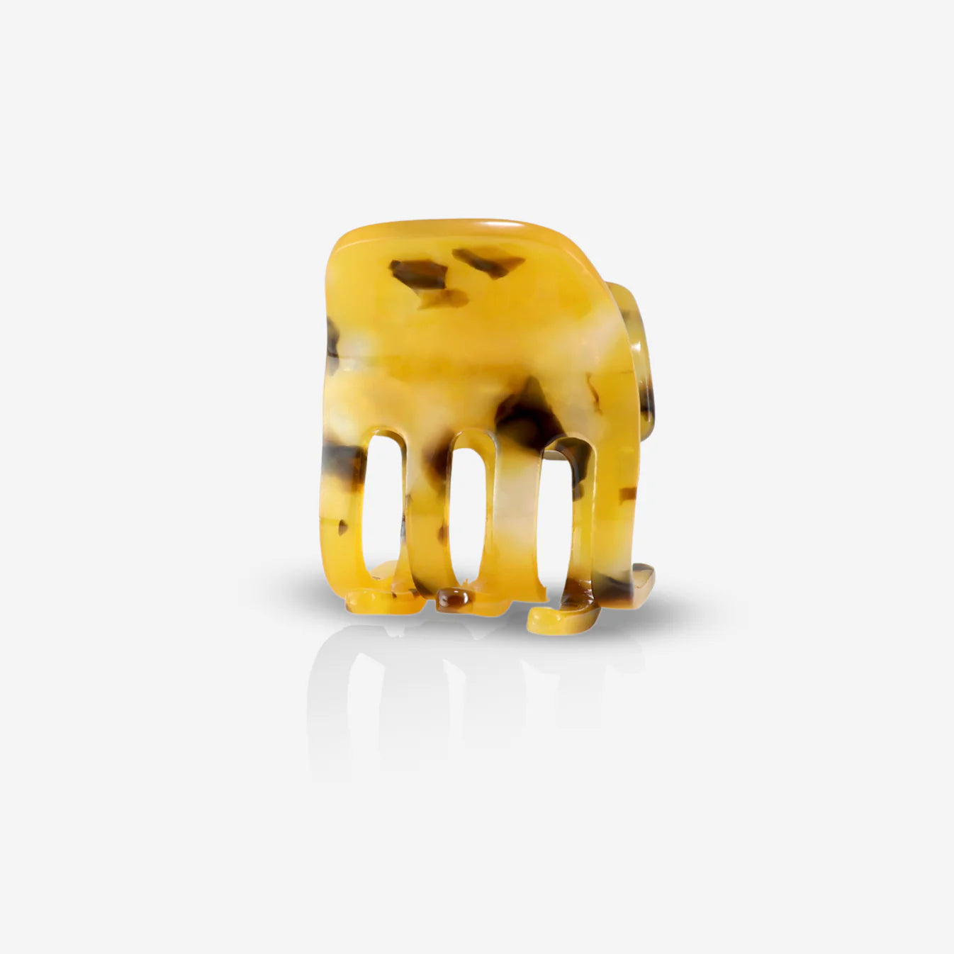 Paw