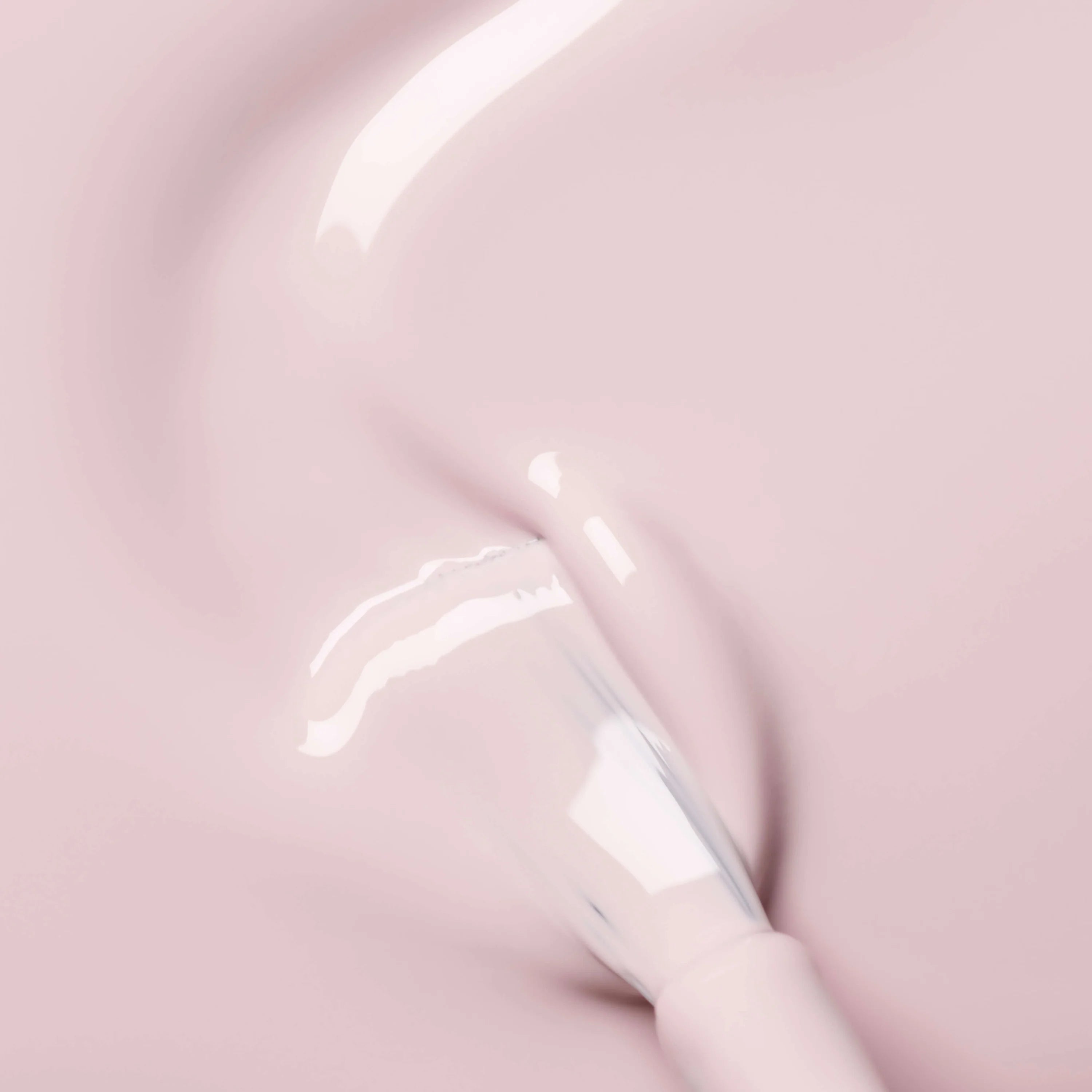 Blossom