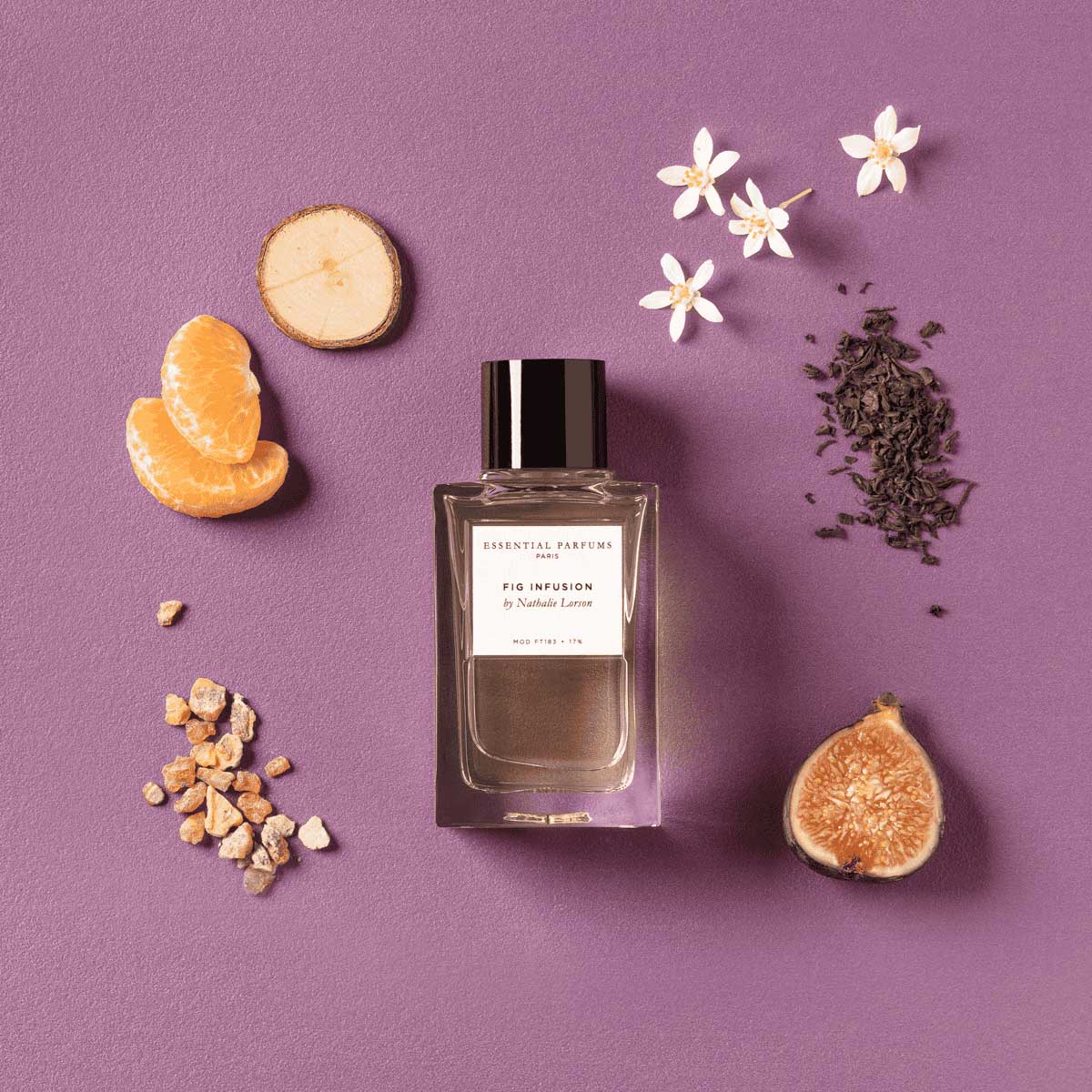 Fig Infusion by Nathalie Lorson